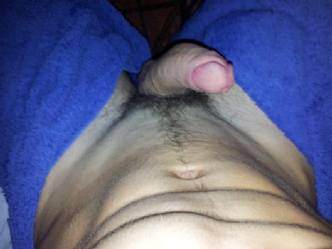 Erected Uncut Penis